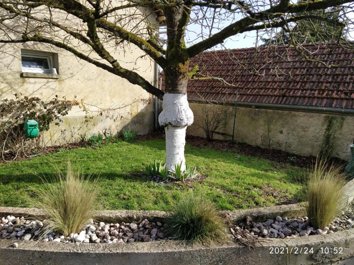 Apartmán La Ruche Morangis  Exteriér fotografie